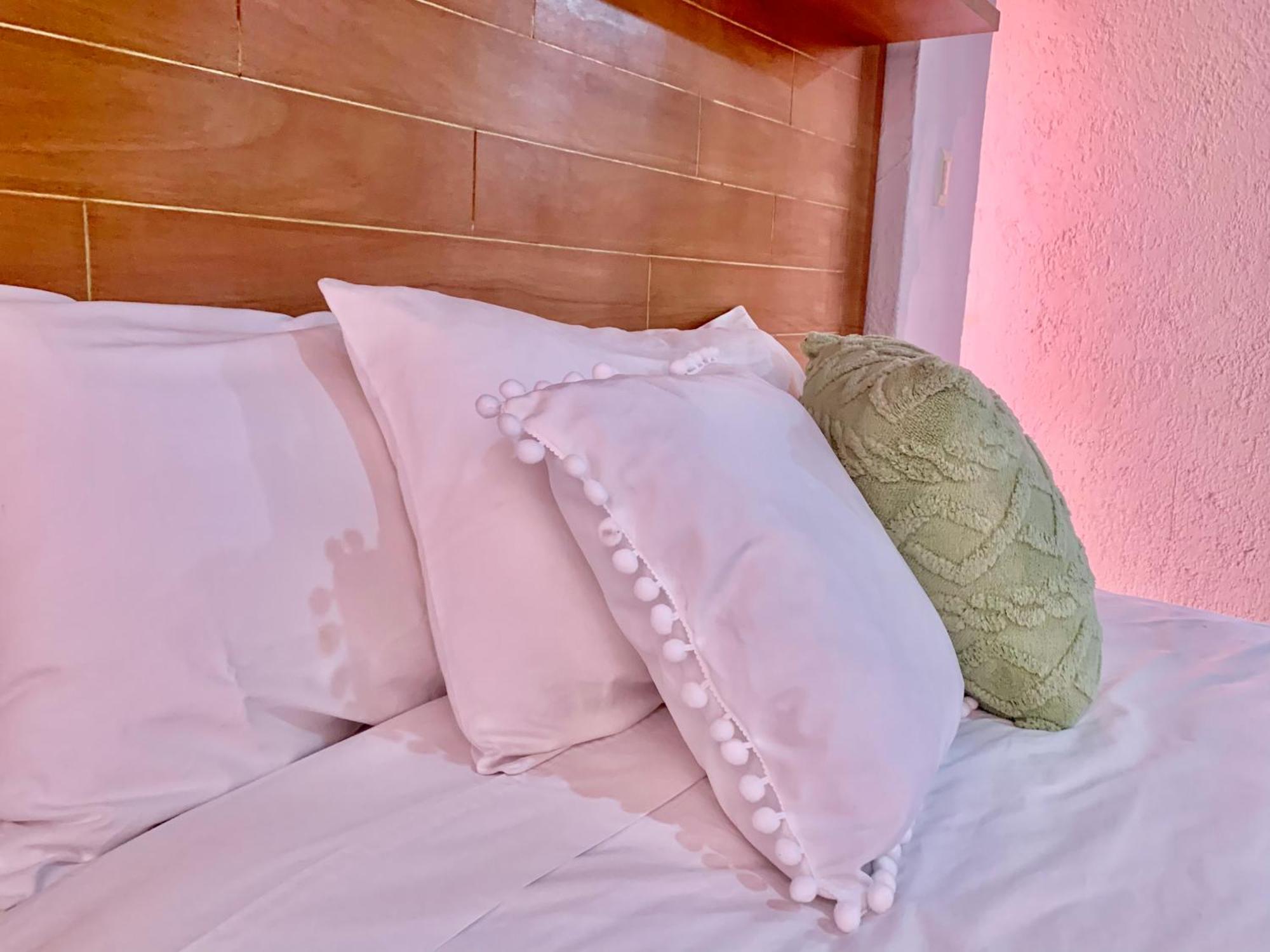 Coyoacan Bed & Breakfast Mexico City