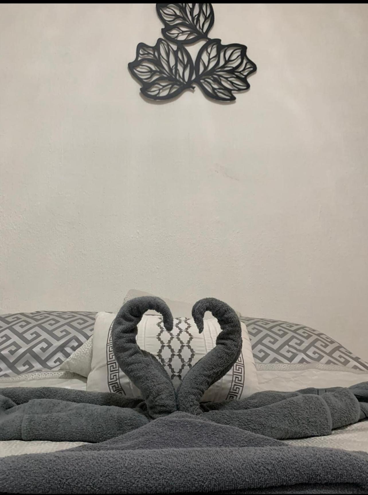Apartamento Impecable Depto En La Roma
