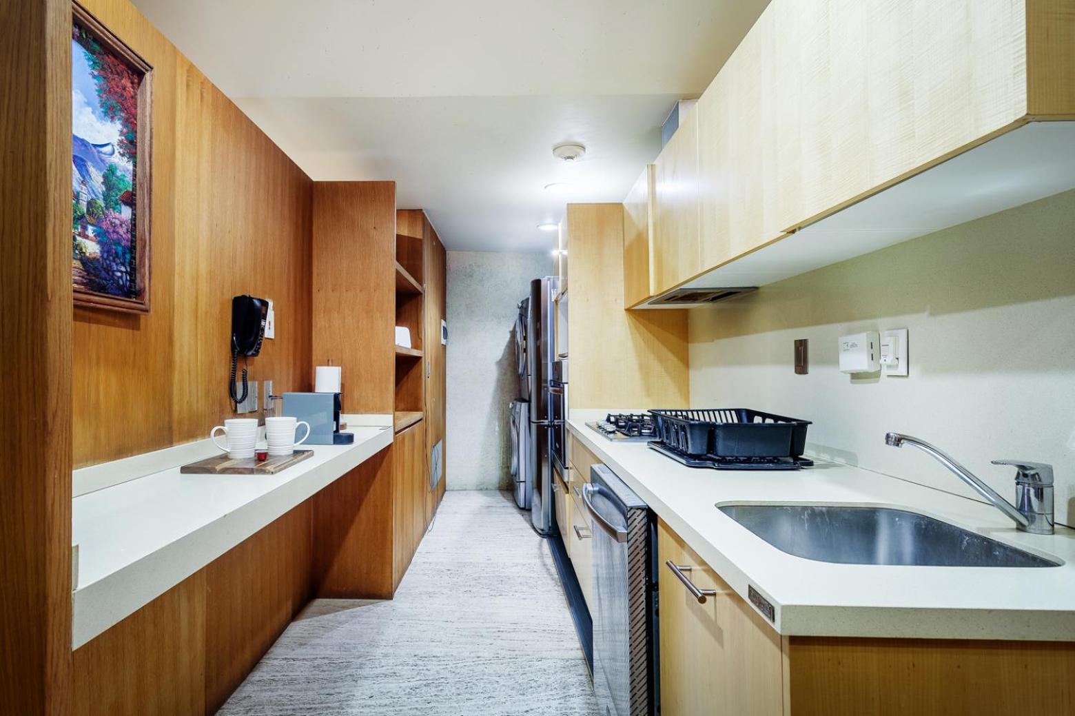 Apartment Huge Luxury In Reforma 27