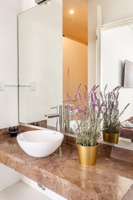 Penthouse, Terraza Privada Y Estacionamiento