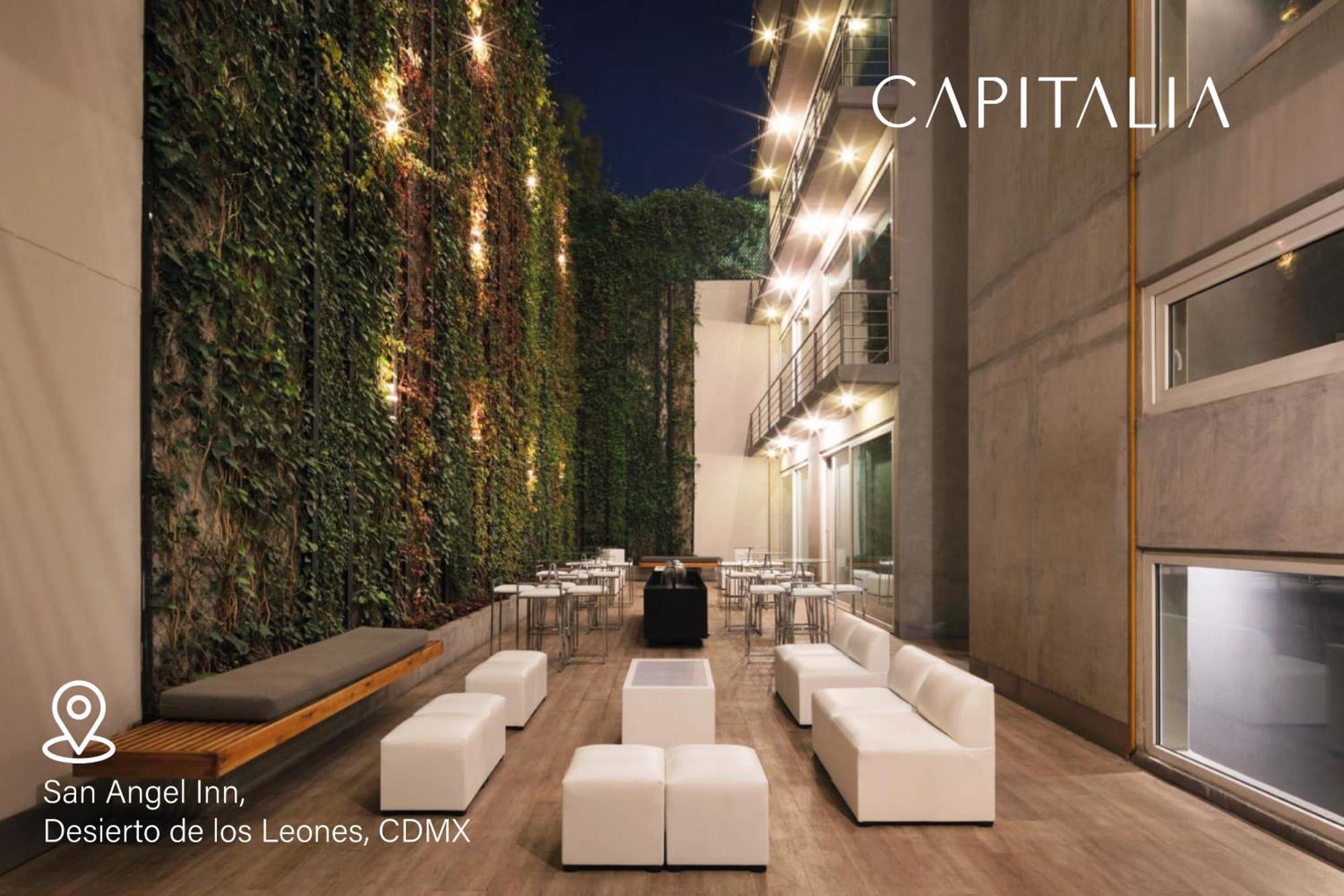 Aparthotel Capitalia - - San Angel Mexico City