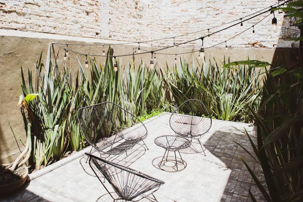 Casa Balam Condesa Holiday home *