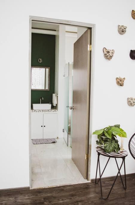 Casa Balam Condesa Holiday home Mexico City