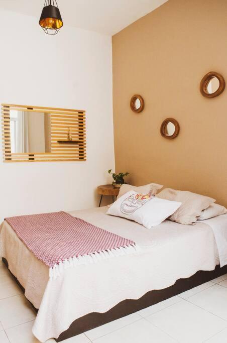 Casa Balam Condesa *