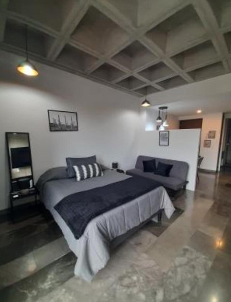Roma Vista Loft- Oasis En El Corazon De La Roma