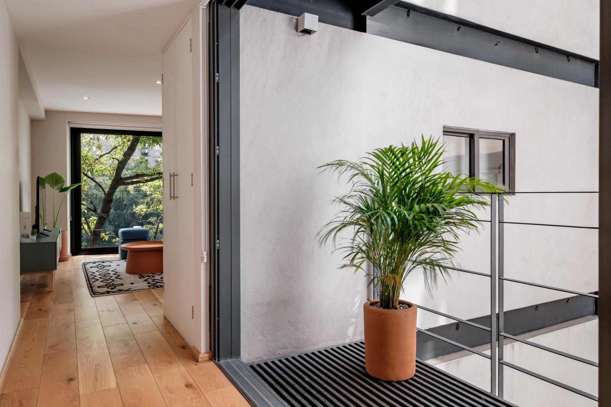 Modern La Condesa Pet Friendly Apartment Mexico City