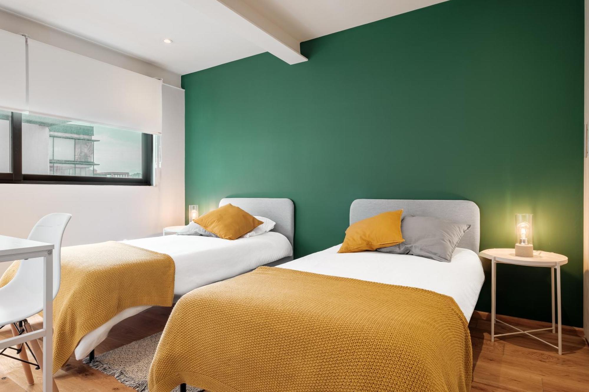 Modern La Condesa Pet Friendly Apartment