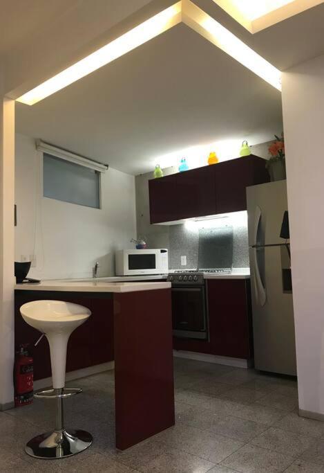 Apartamento- Loft Condesa Ciudad De Zamora 75 Mexico City