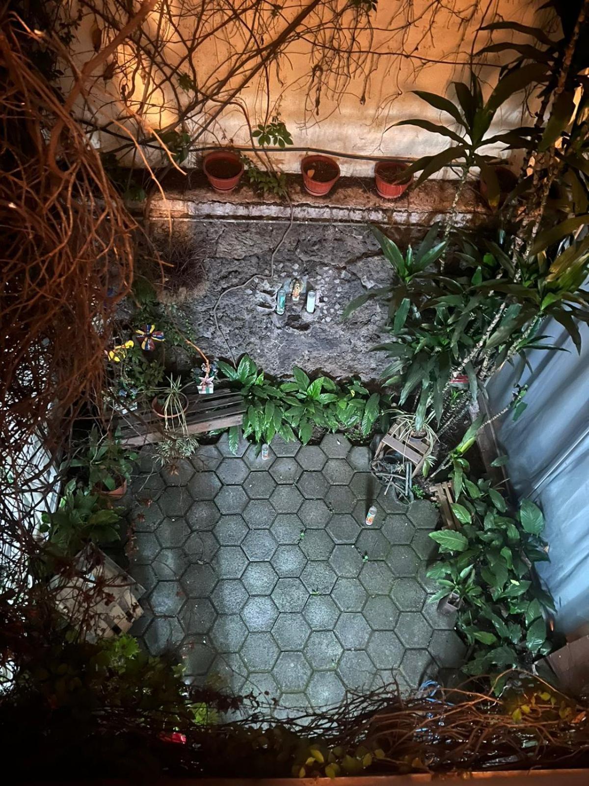 Guest house Rosas Mexico City