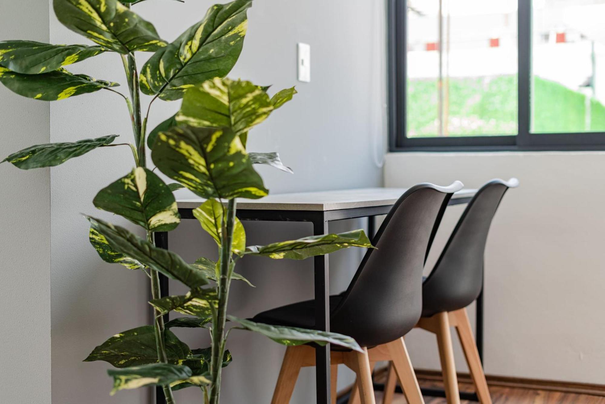 Apartment Narvarte By Vh *