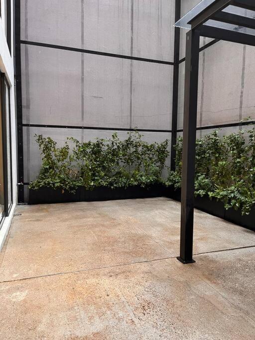 Roma With Private Terrace In Cdmx Apartment *