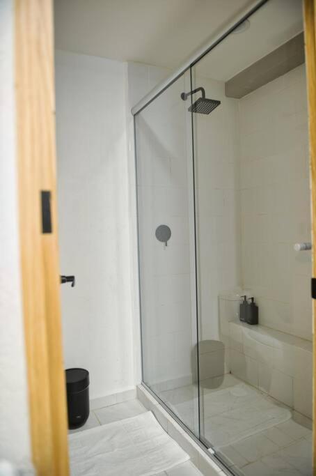 Apartment Roma With Private Terrace In Cdmx *