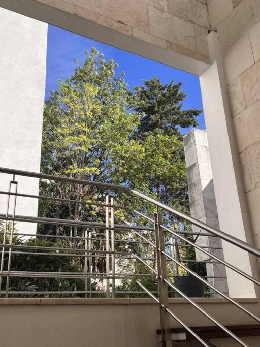 Condesa Amsterdam 101 Serene 1 Bed1bath On Amsterdam Av Mexico City