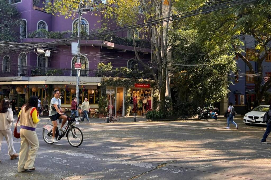 Apartment Condesa Amsterdam 101 Serene 1 Bed1bath On Amsterdam Av Mexico City