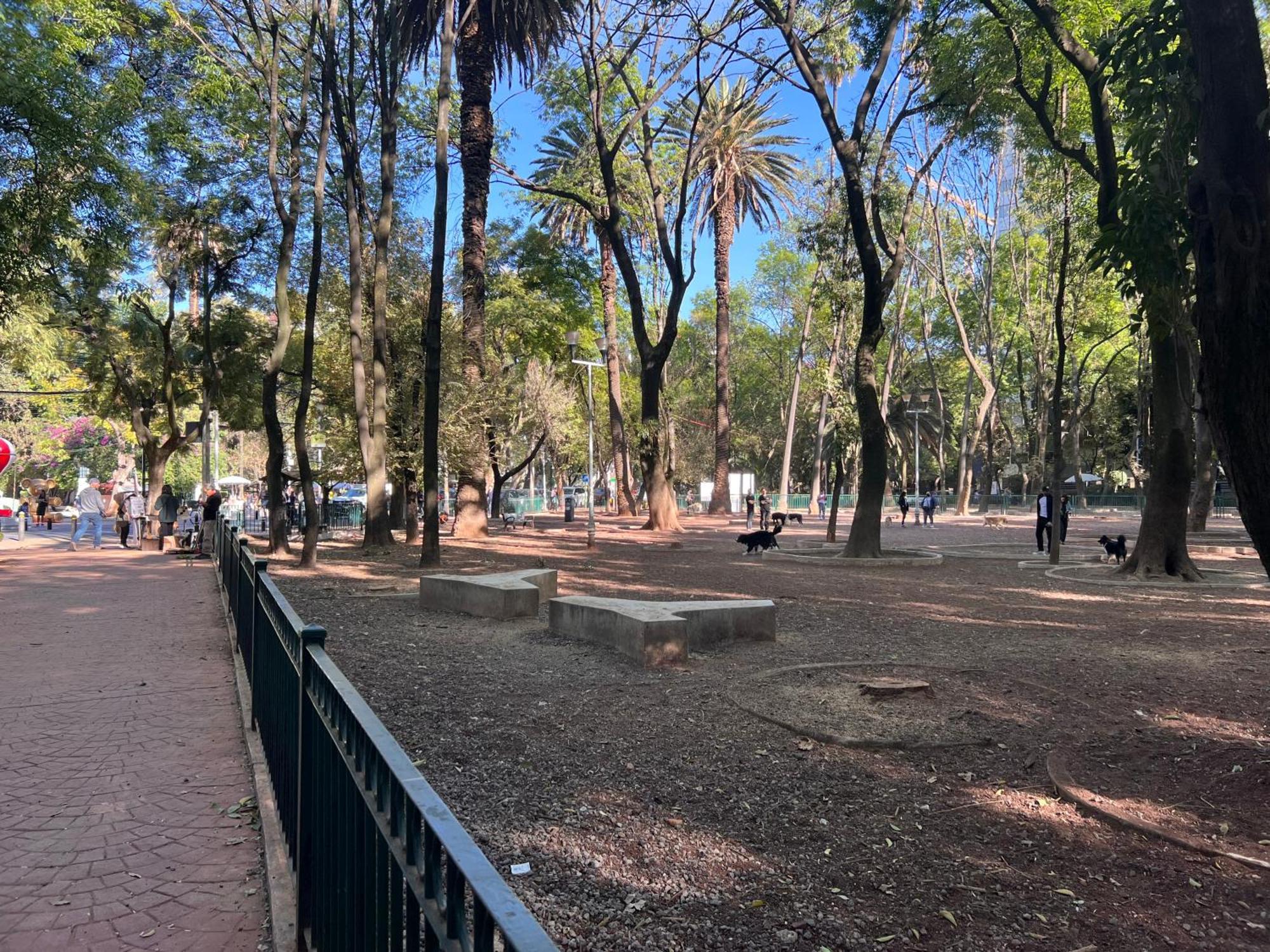 Apartment Condesa Amsterdam 104 Lovely 1bed 1 Bath On Amsterdam Av Mexico City