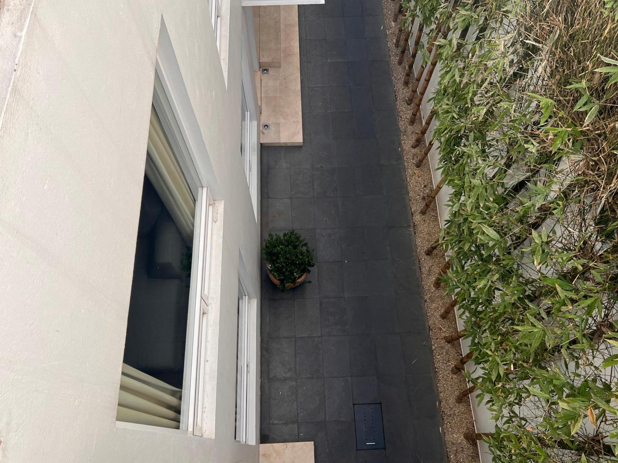 Apartment Condesa Amsterdam 104 Lovely 1bed 1 Bath On Amsterdam Av Mexico City