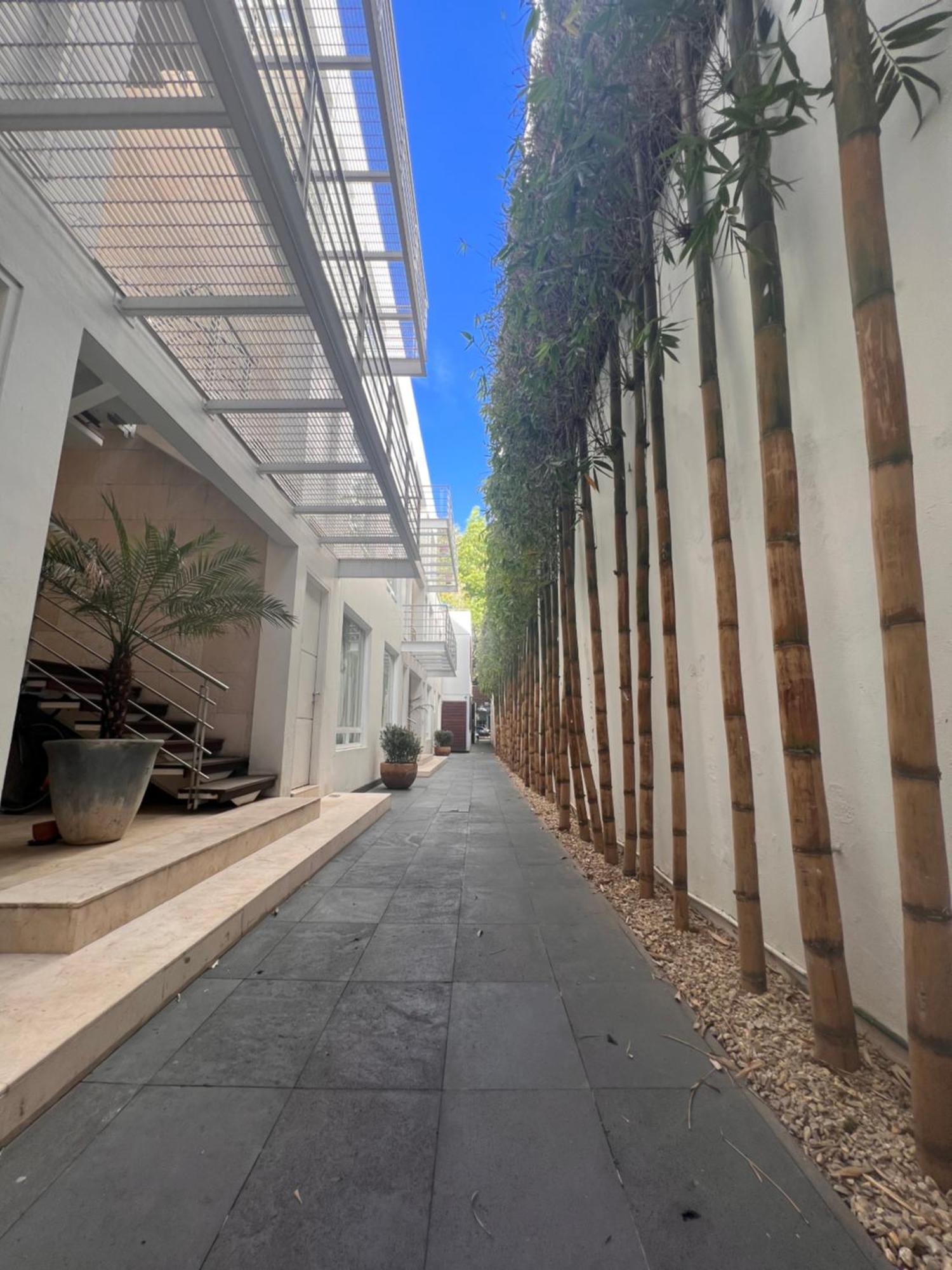 Condesa Amsterdam 104 Lovely 1bed 1 Bath On Amsterdam Av Apartment Mexico City
