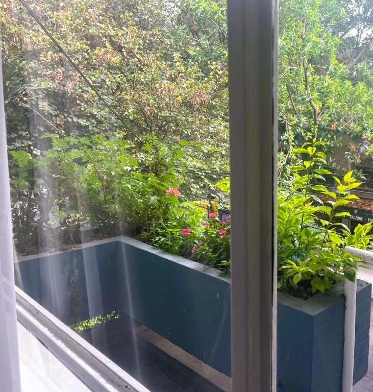 De Lujo En Colonia Condesa