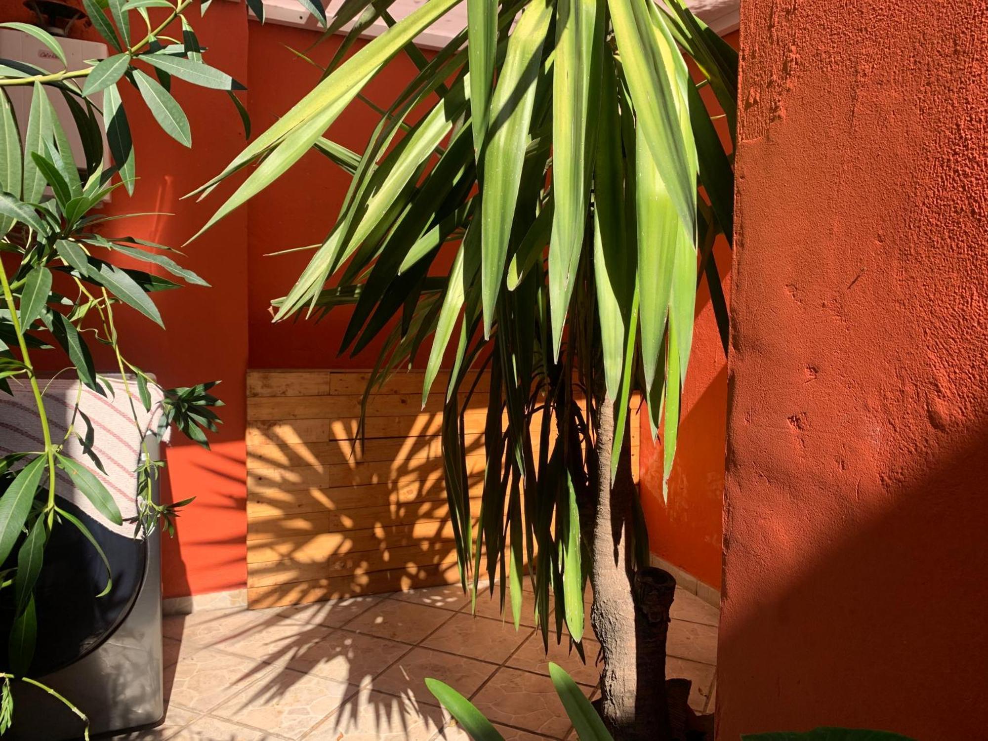 Coyoacan Bed & Breakfast *