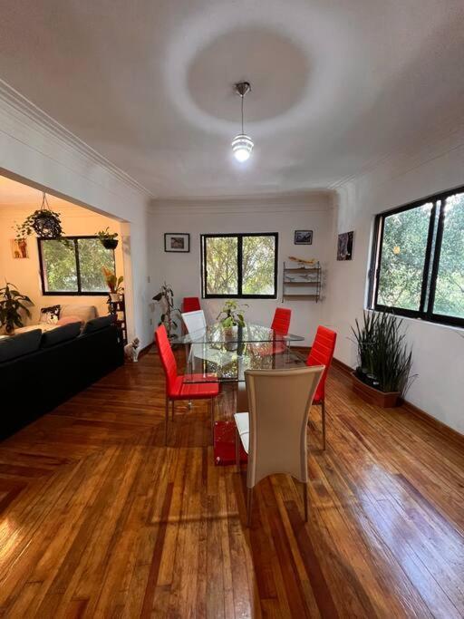 La Mas Cool De La Roma Guest house