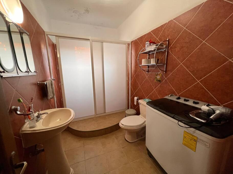 Guest house La Mas Cool De La Roma *