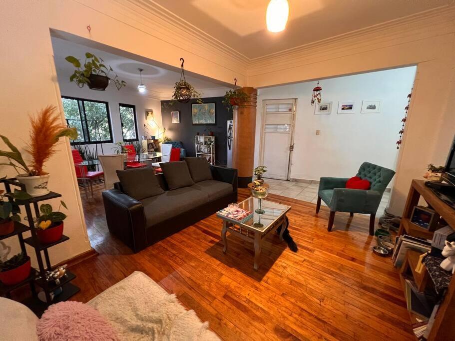 Guest house La Mas Cool De La Roma Mexico City