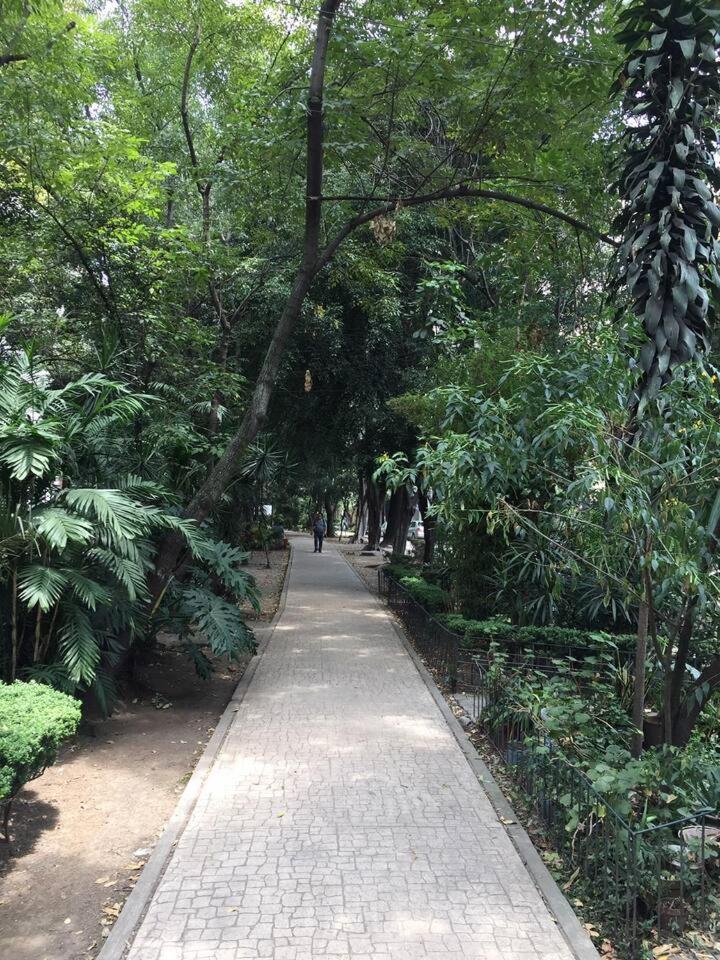 Condesa Amsterdam 202 Bright 1br 1ba On Amsterdam Av Mexico City