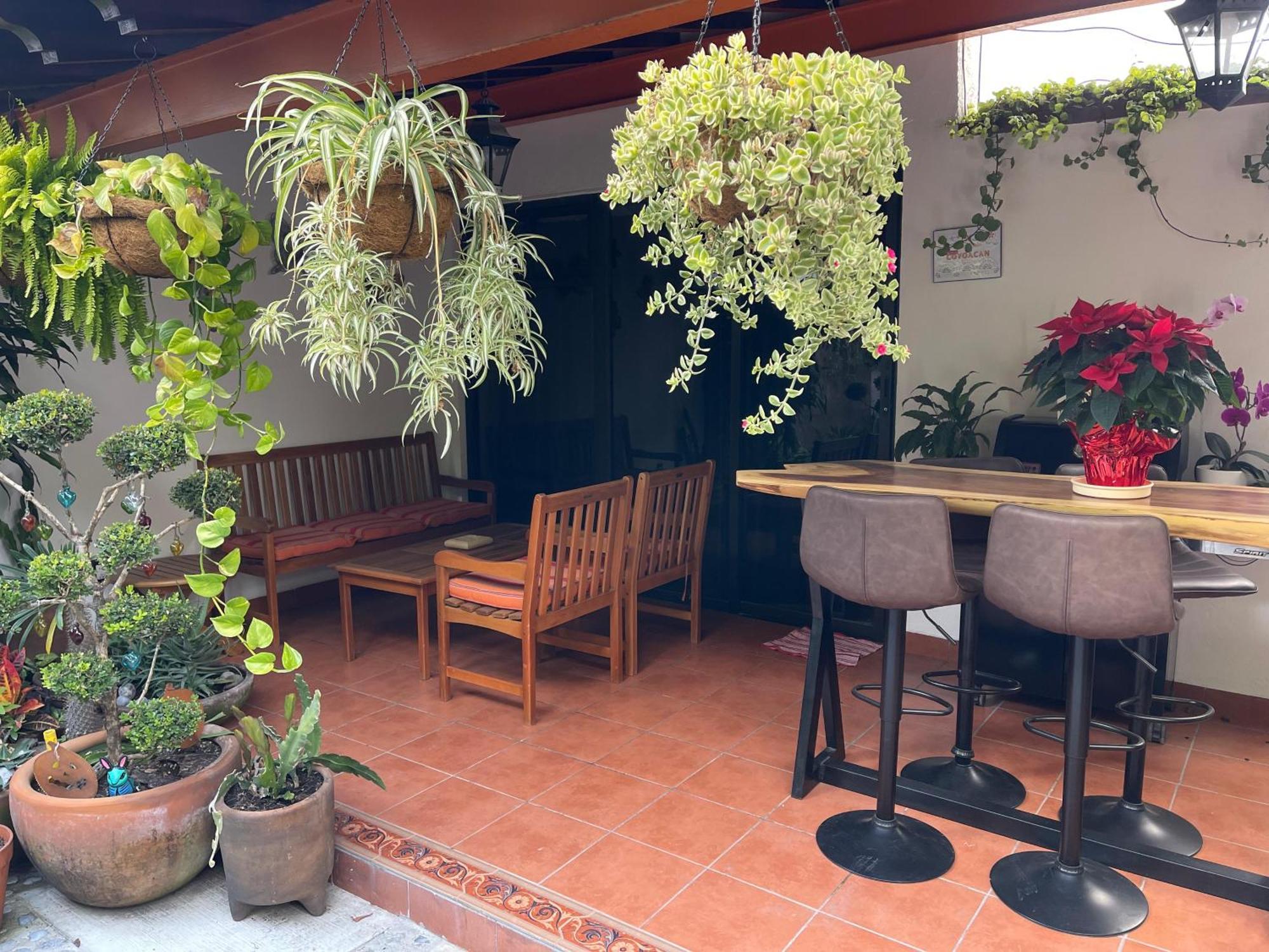 Mini Loft En Coyoacan * Mexico City