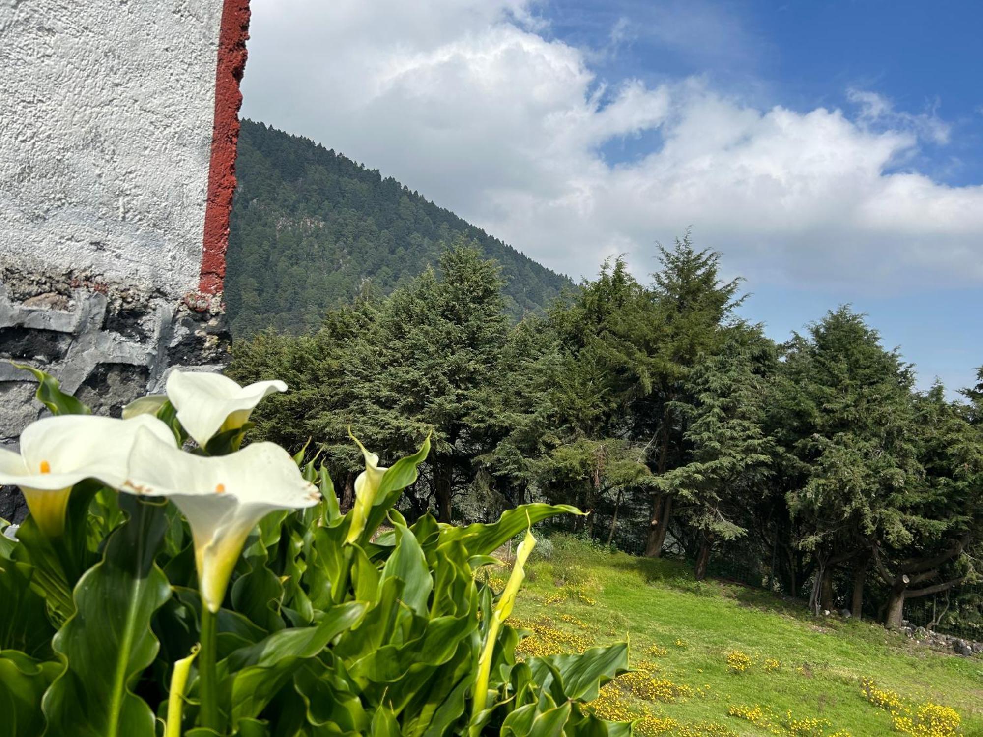 Rancho El Paraíso Ajusco