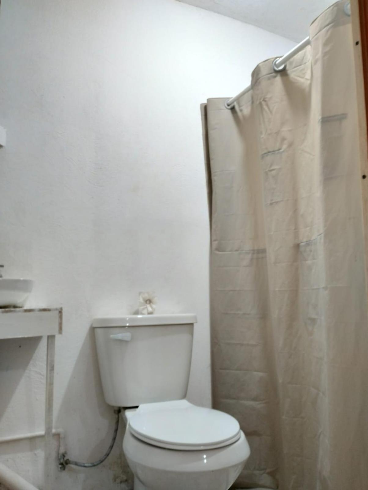 Homestay Casita Del Arbol *
