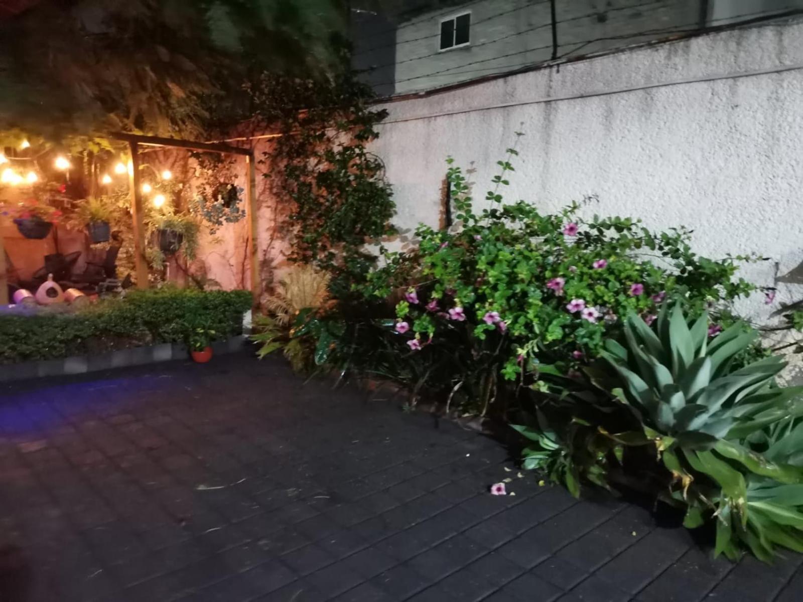 Homestay Casita Del Arbol