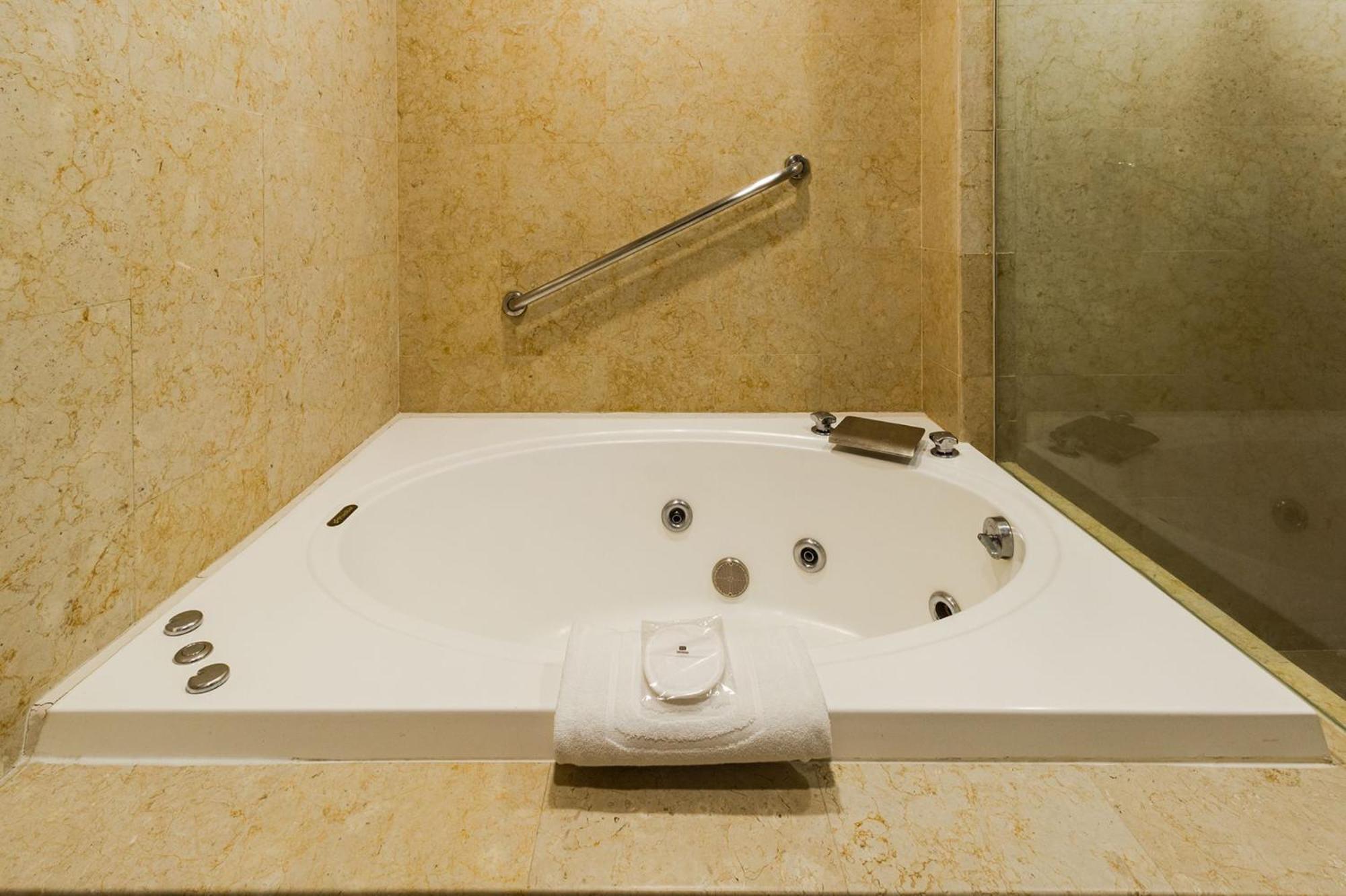 Camino Real Pedregal Mexico Hotel 5*