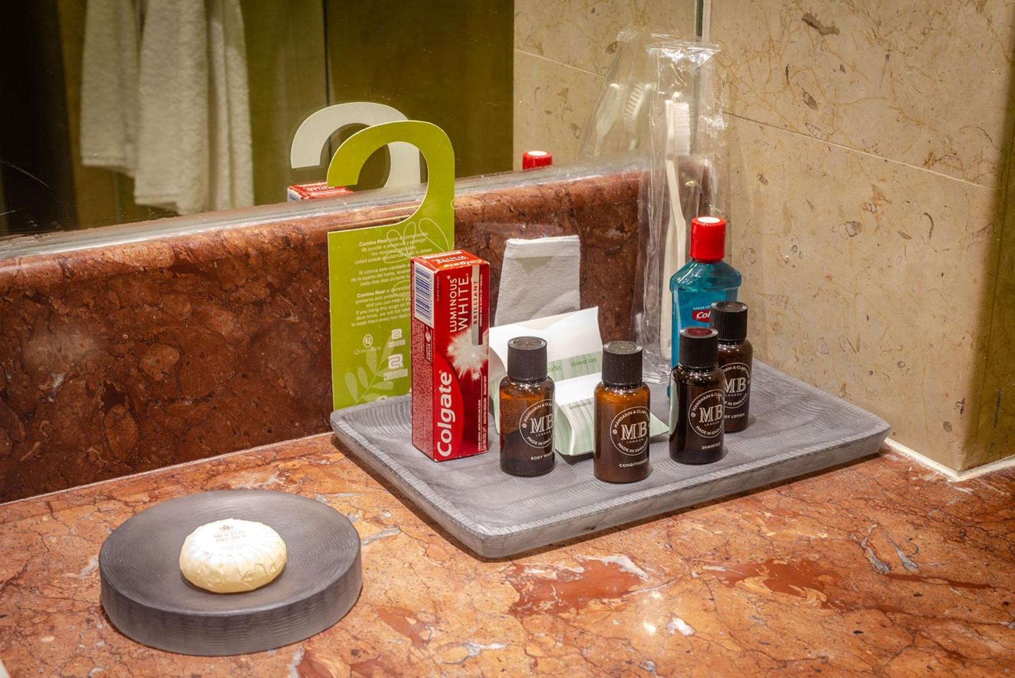 Camino Real Pedregal 5*