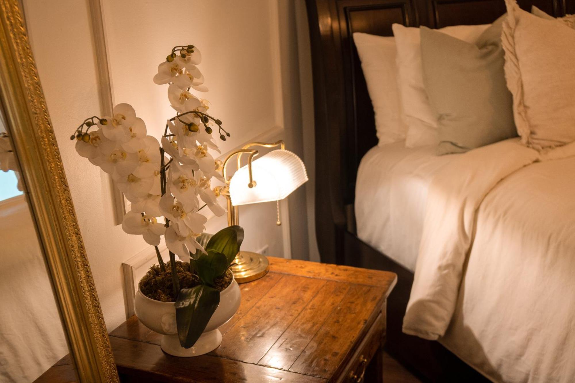 Mansión Papilio Bed and breakfast