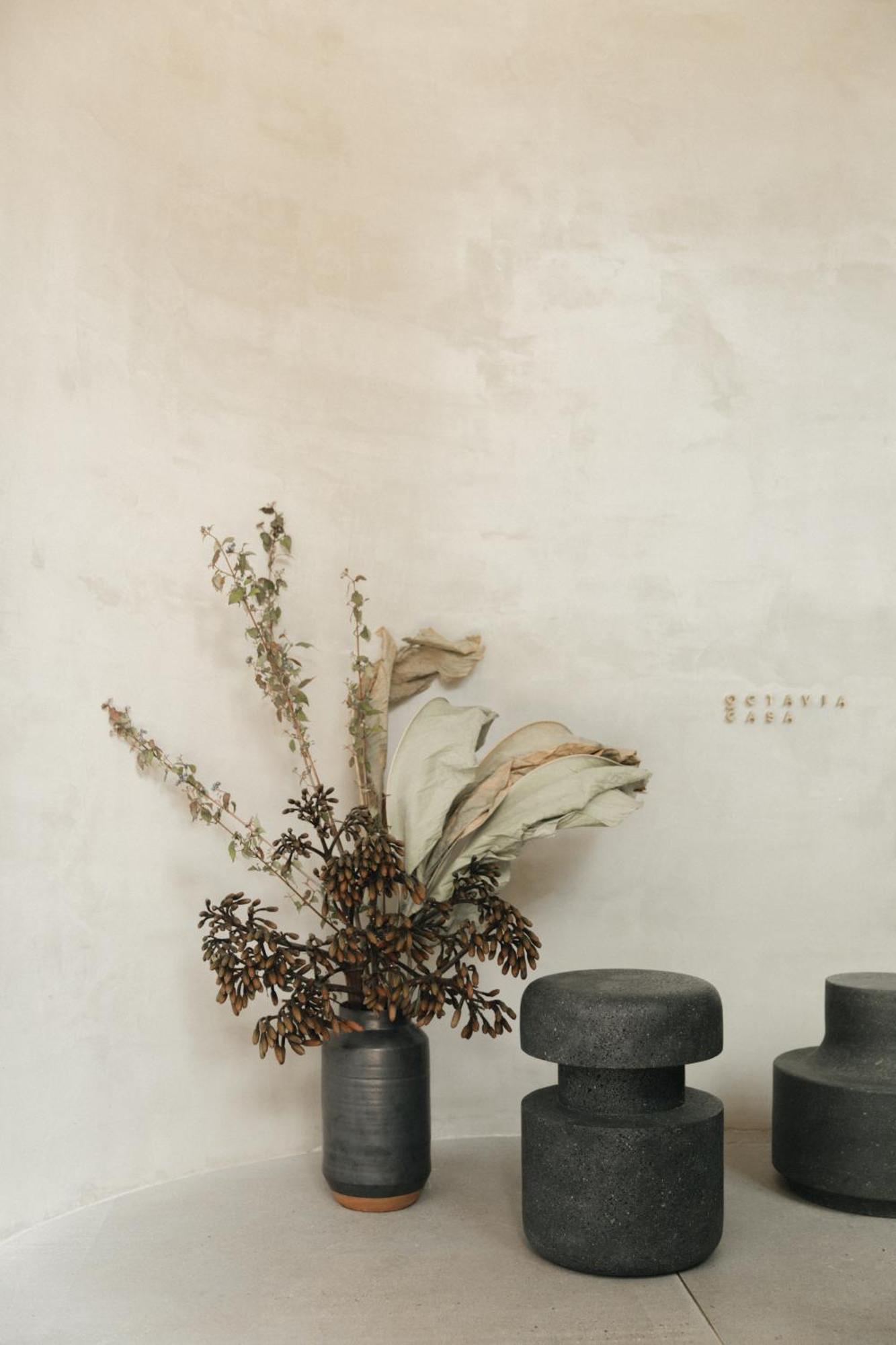 Octavia Casa Bed & Breakfast Mexico City