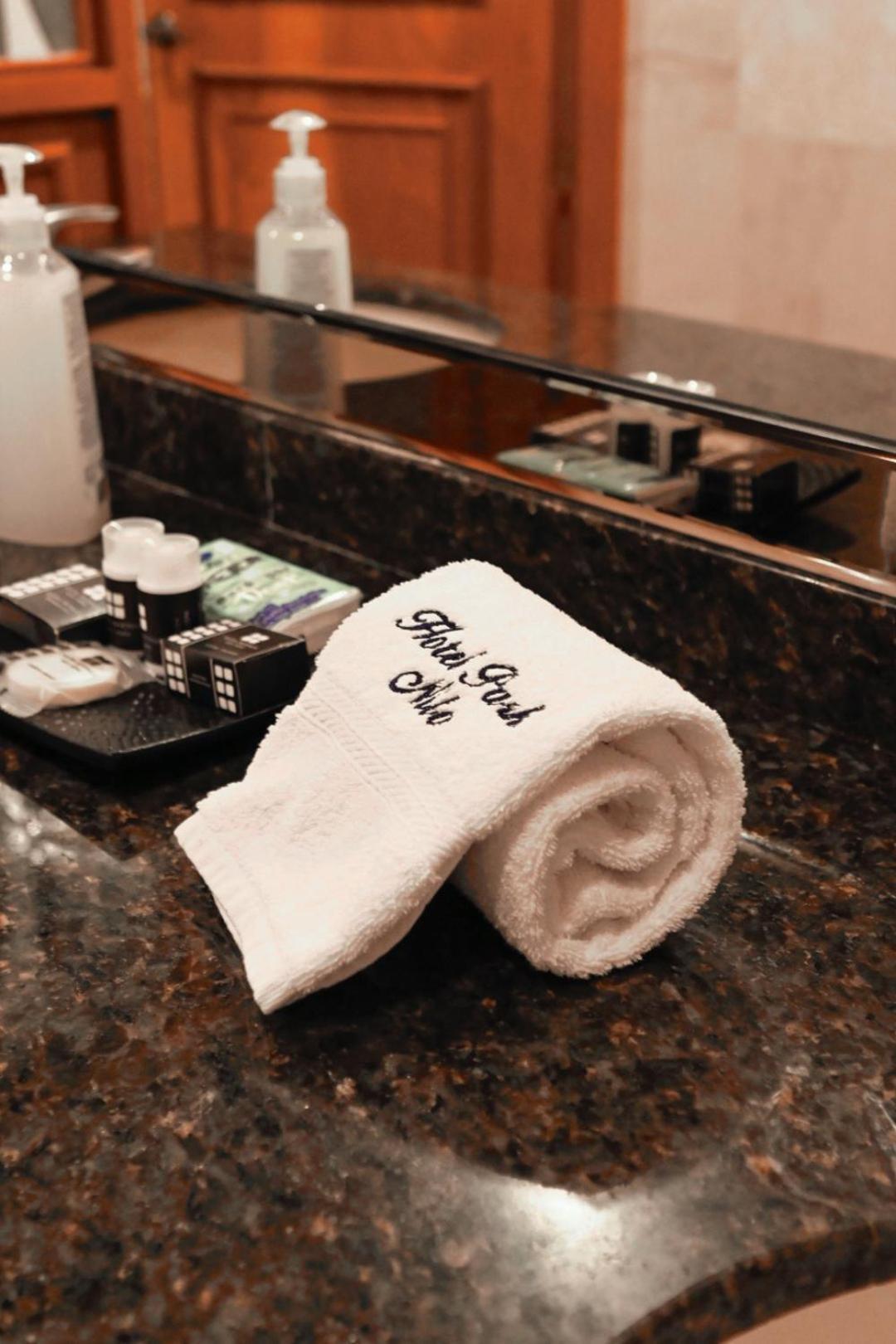 Hotel Park Nilo