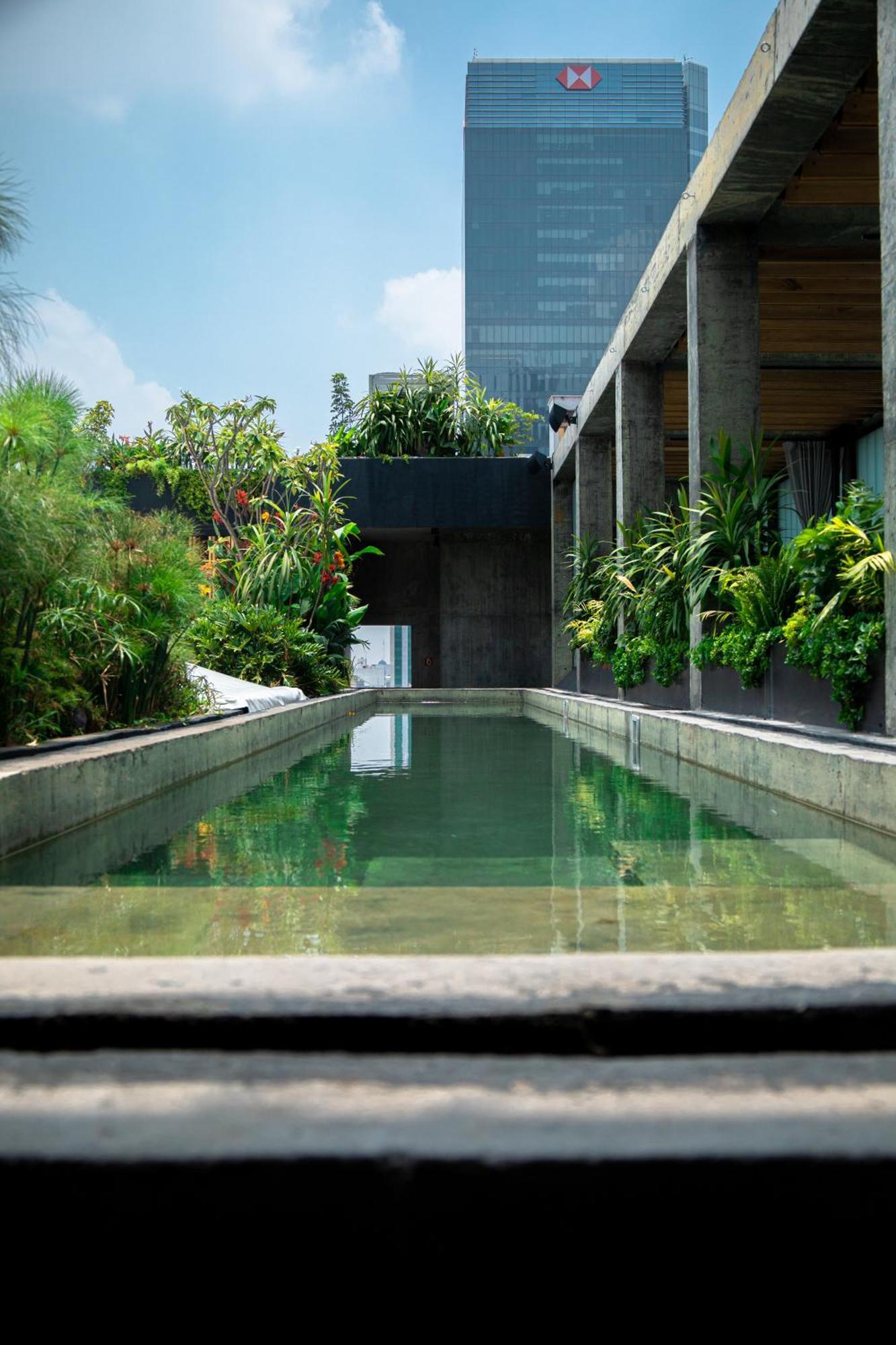 Hotel Volga Mexico City