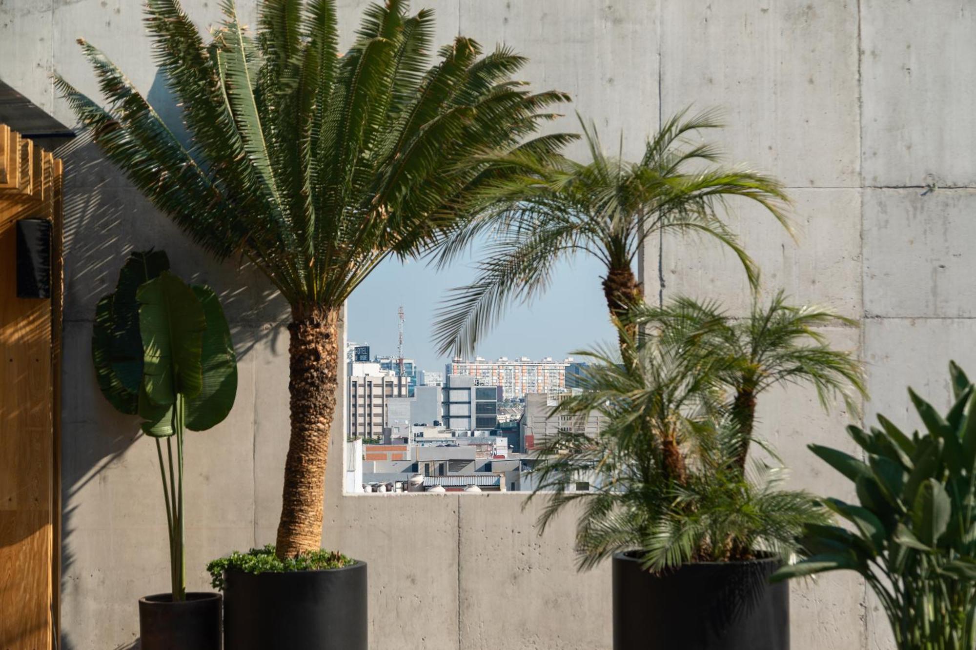 Hotel Volga Mexico City