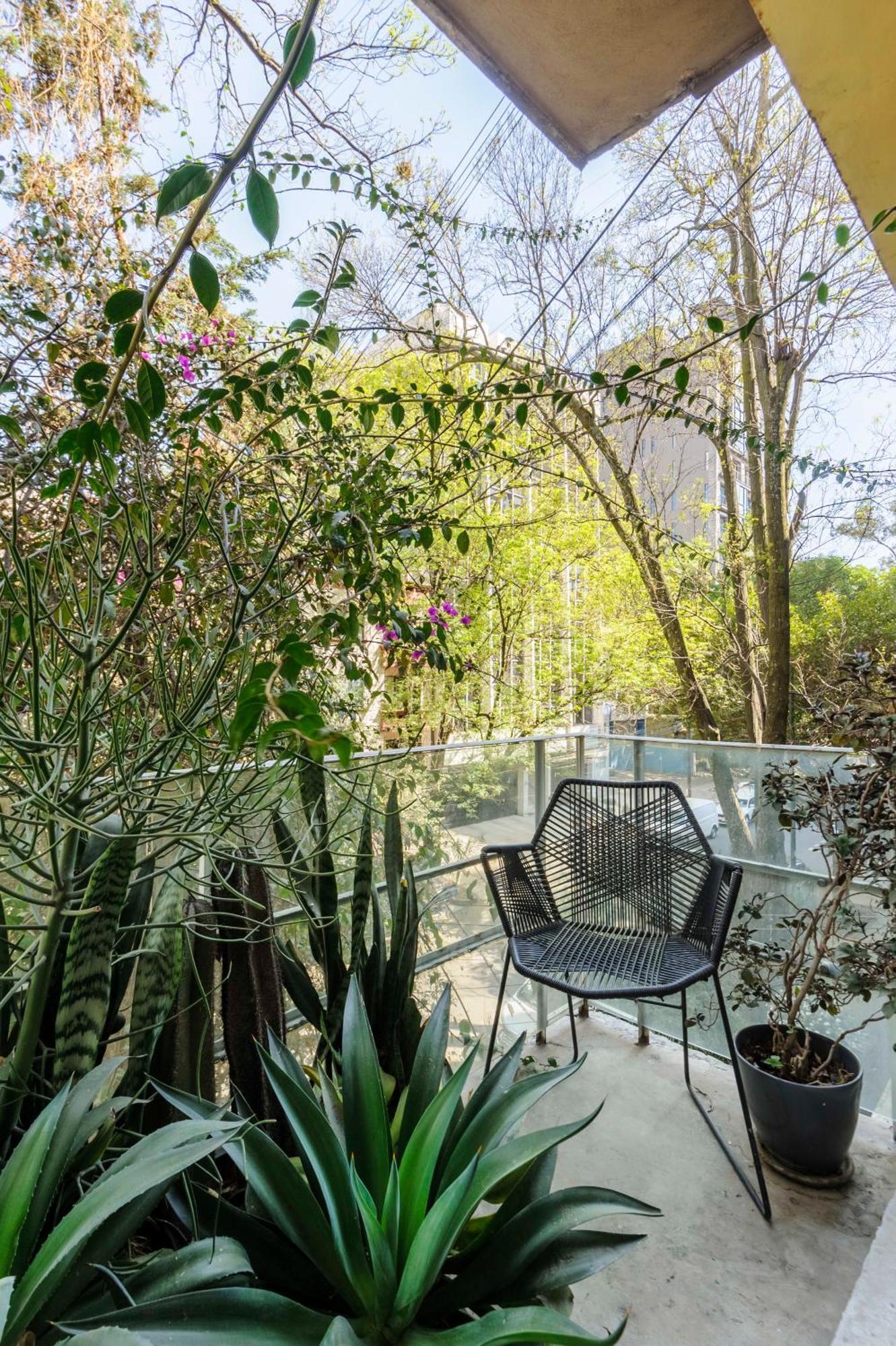 Authentic 1br In Polanco *