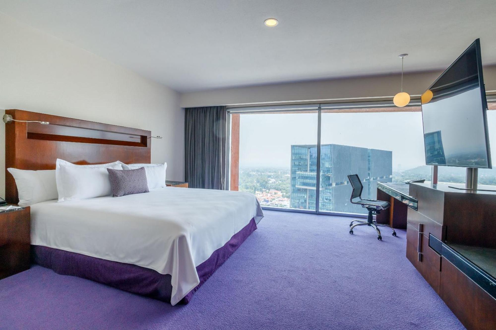 Camino Real Pedregal Hotel