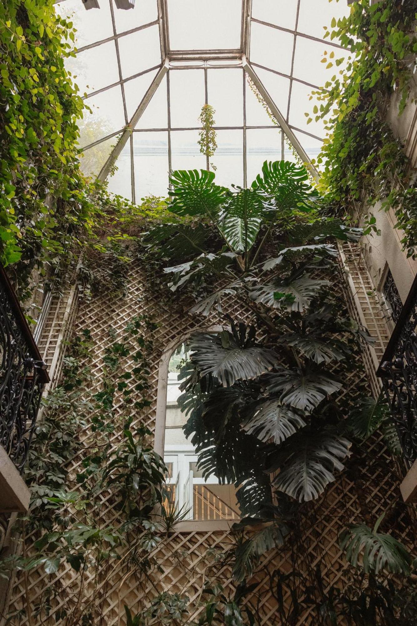 Nima Local House Hotel & Spa Mexico City