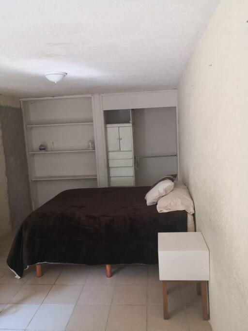 Loft E Metro Copilco Unam Coyoacan- E Mexico City