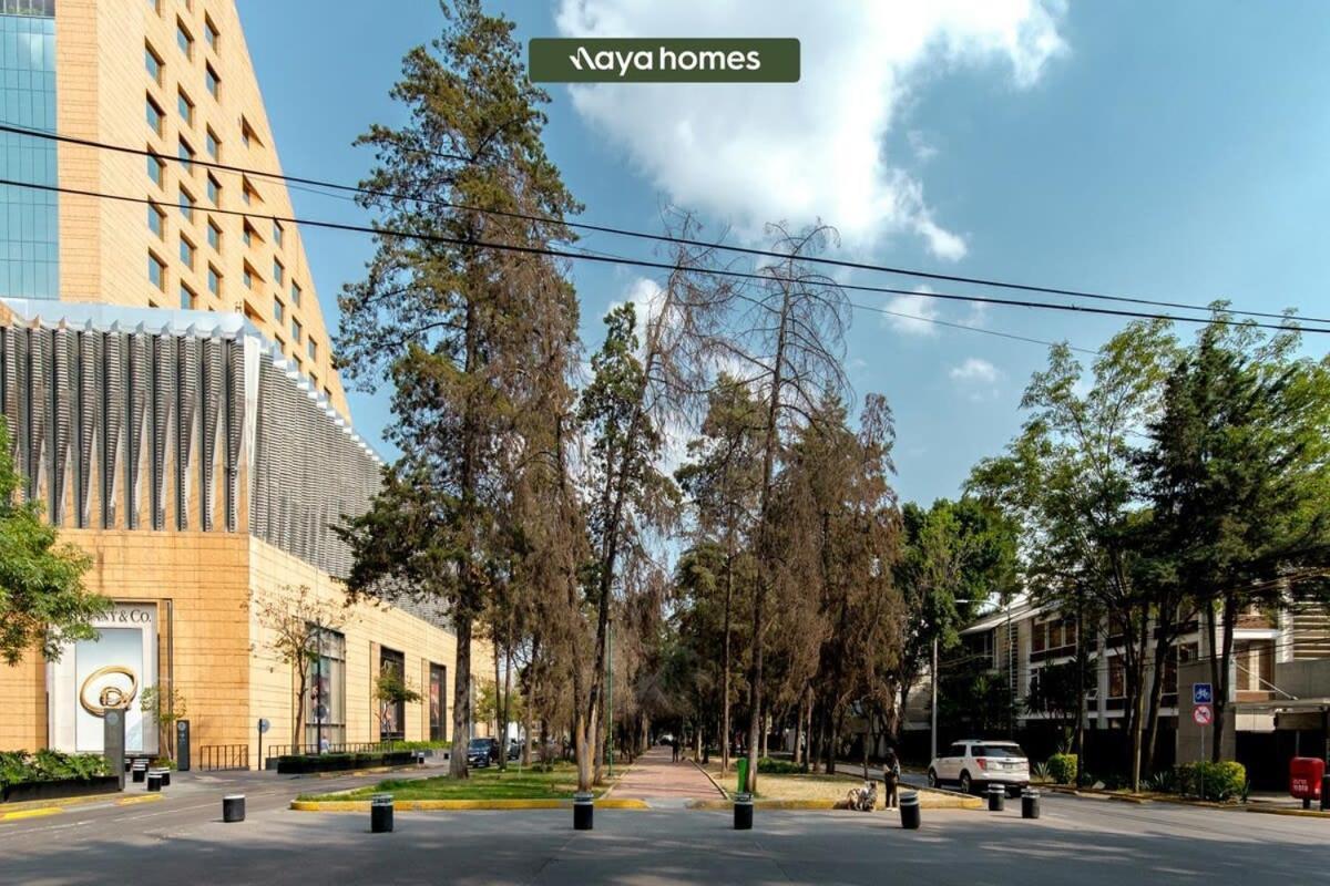 Apartment Horacio 1411-203&204-cdmx