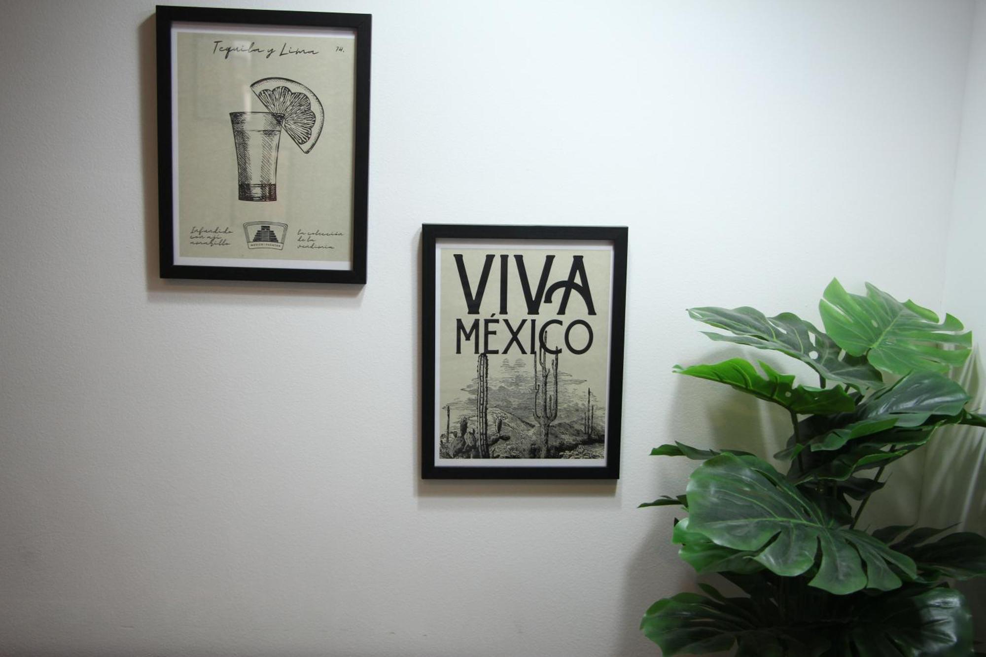 Roma Vista Loft- Oasis En El Corazon De La Roma