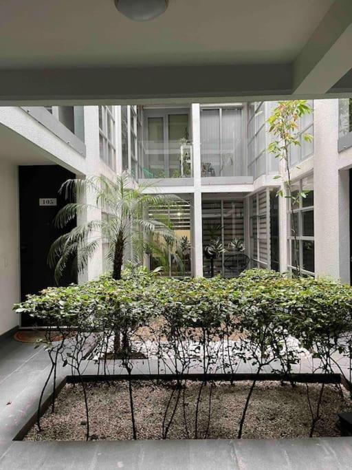 Increible Y Nuevo Depa Centrico! Apartment Mexico City