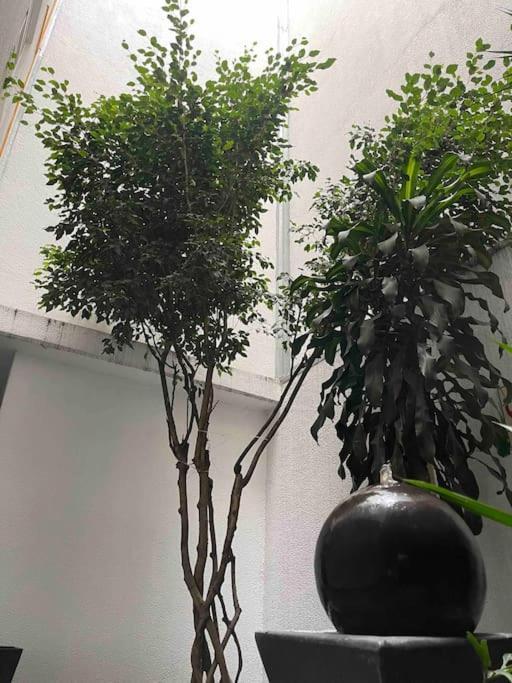 Increible Y Nuevo Depa Centrico! Apartment *