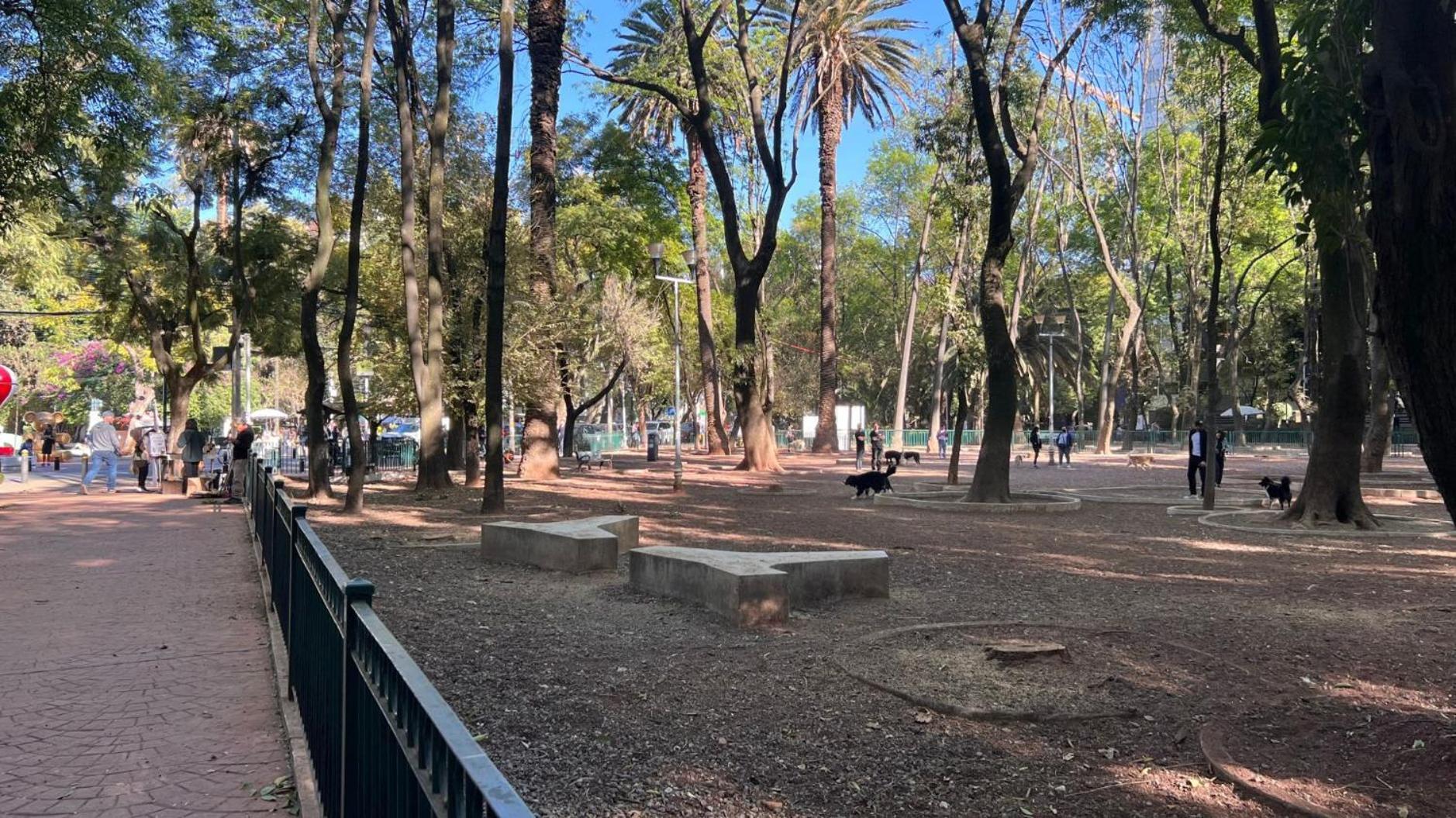 Condesa Campeche 8 Urban Elegance 2br 1ba With Large Living Areas Mexico City