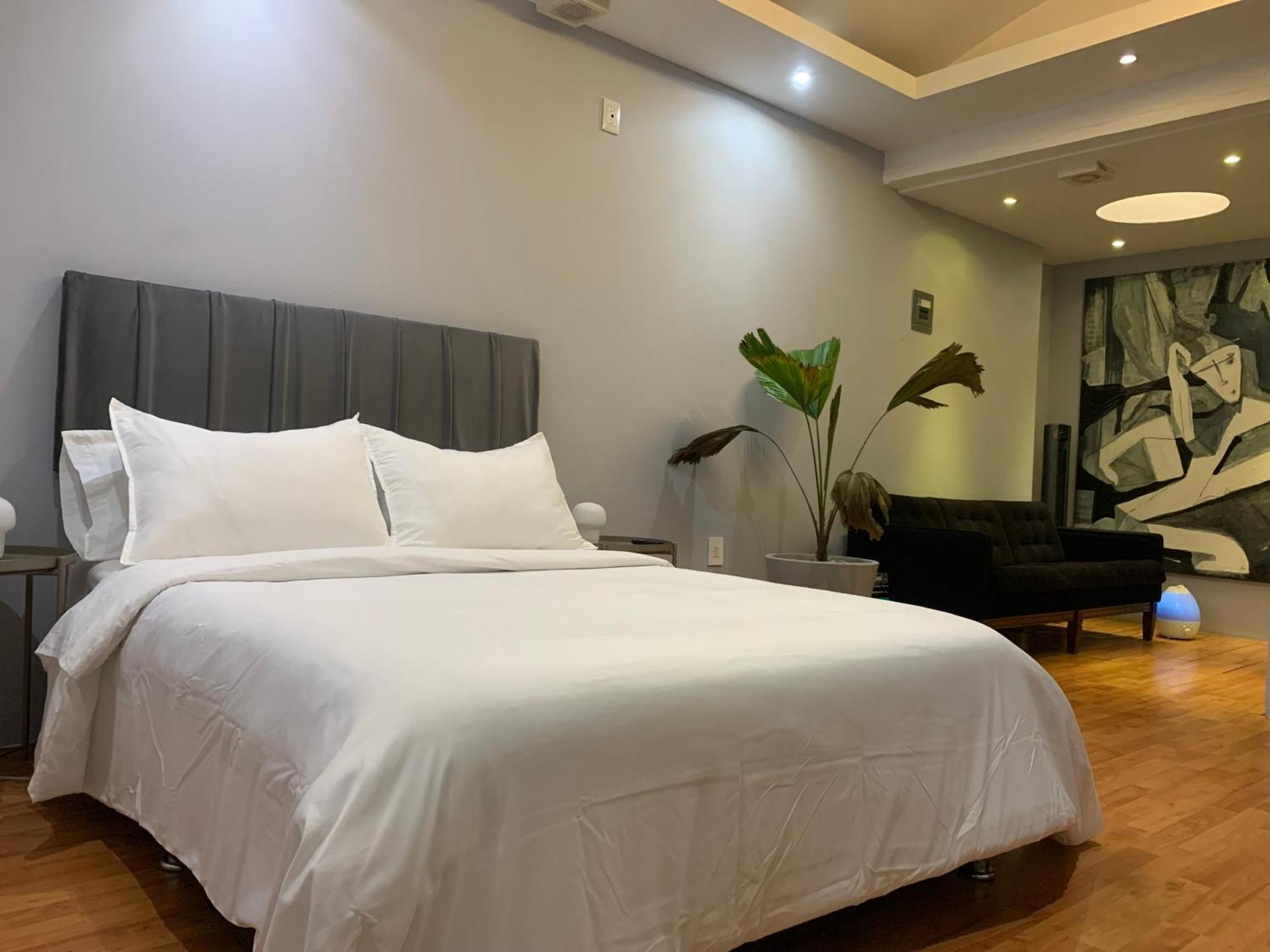 Practico Y Confortable Estudio-loft Excelente Zona Apartment Mexico City