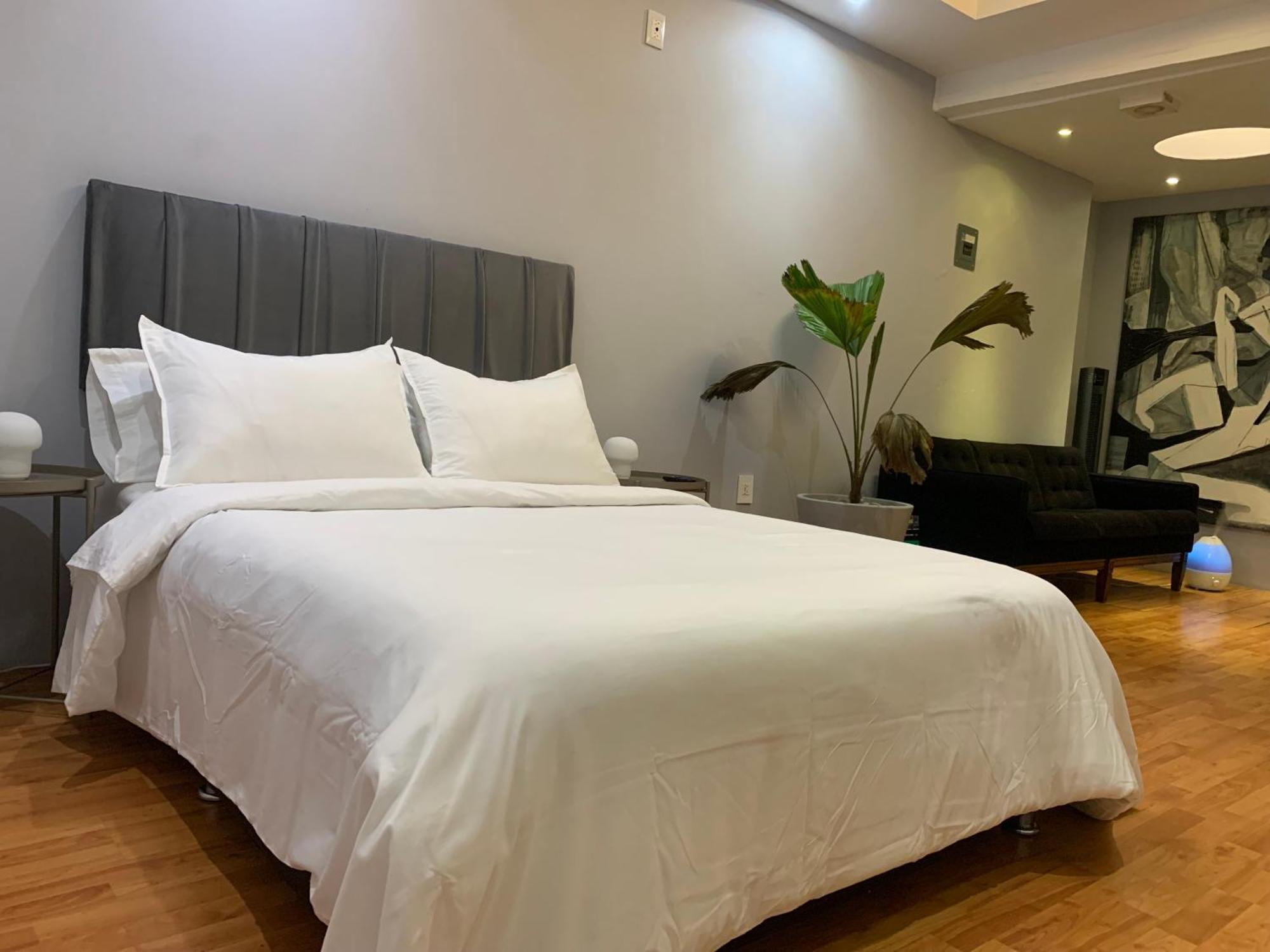 Practico Y Confortable Estudio-loft Excelente Zona Mexico City