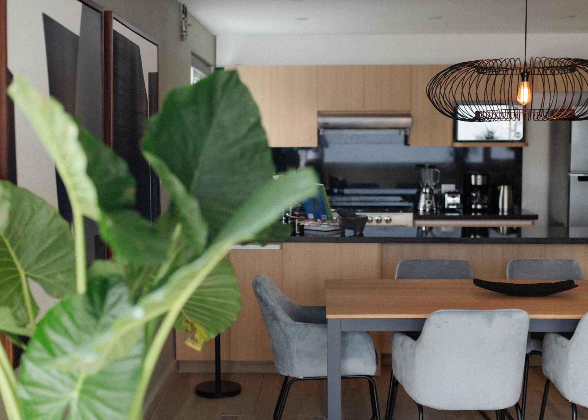 Elba By Mr W Apartment